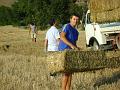 Preparazione campo (7)